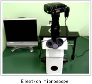 Electron microscope